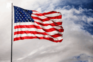 Implications of the 2024 Election