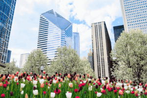 AAM’s April Fixed Income Recap