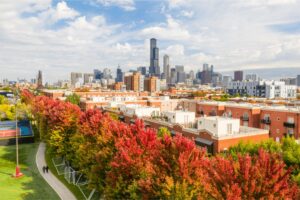 Third Quarter 2025 Equity Performance Review: A Tale of Divergence