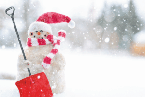 The Calm Before Christmas: A Steady but Slowing Holiday Outlook